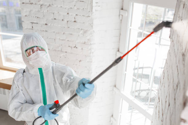 Best Commercial Mold Inspection  in Gold Hill, OR