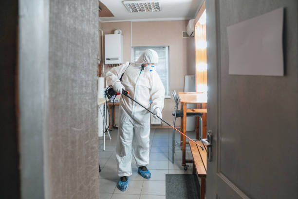 Best Biohazard Mold Removal  in Gold Hill, OR