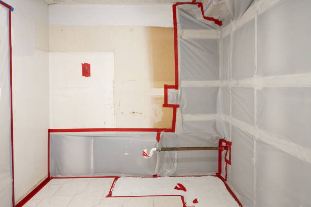 Best Mold Removal for HVAC Installations  in Gold Hill, OR