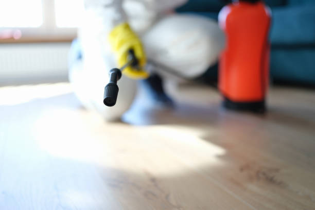 Reliable Gold Hill, OR Mold Removal Solutions